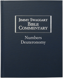 NUMBERS-DEUTERONOMY BIBLE COMMENTARY